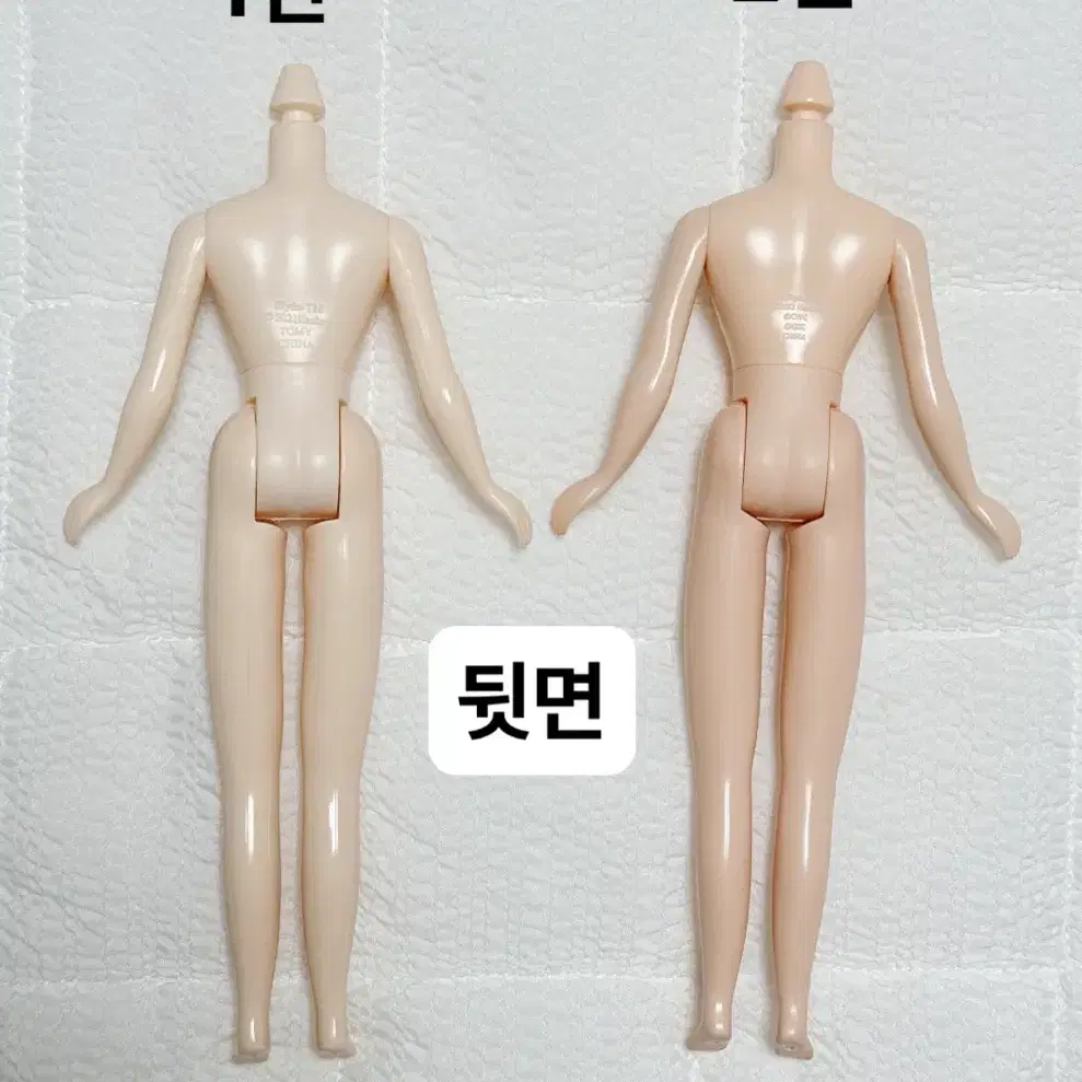 브라이스 네일바디(정품) 미백,노말 블라이스(커스텀,교체용)