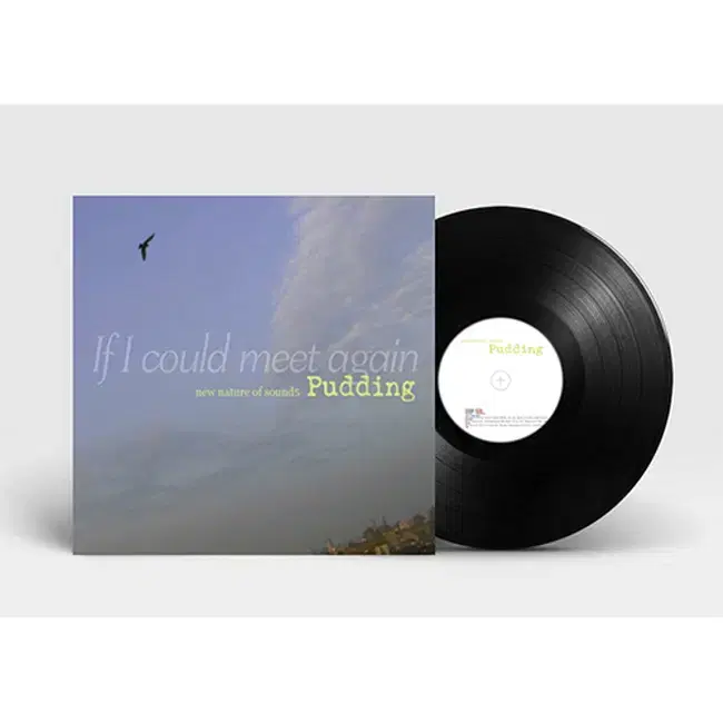 푸딩 LP / If I Could Meet Again [180g]