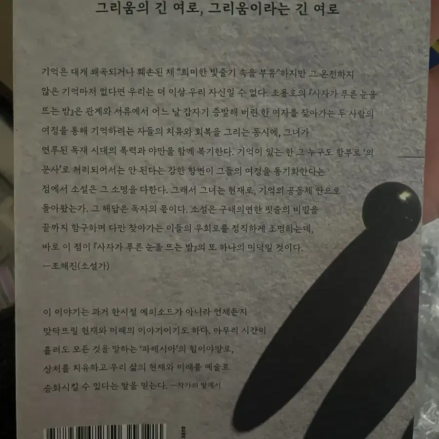 사자가 푸른 눈을 뜨는 밤