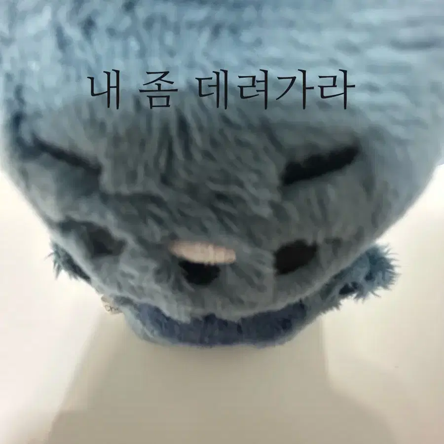 가비지타임 공태성 공댕이 비공식 10cm