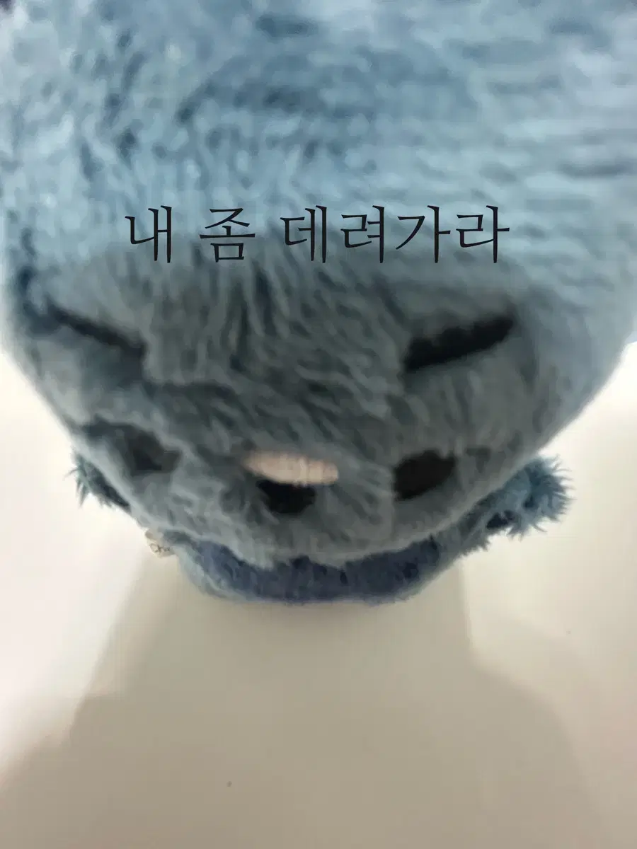 가비지타임 공태성 공댕이 비공식 10cm