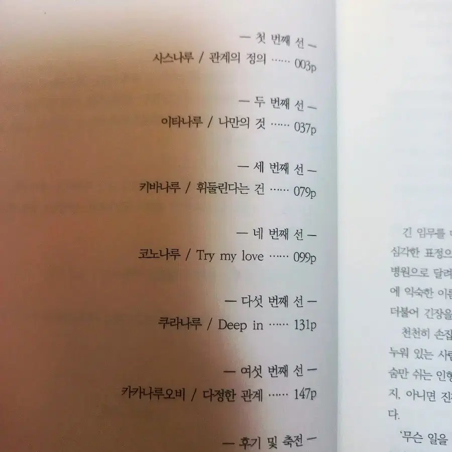 나루토 글 회지 동인지 나루른 평행선