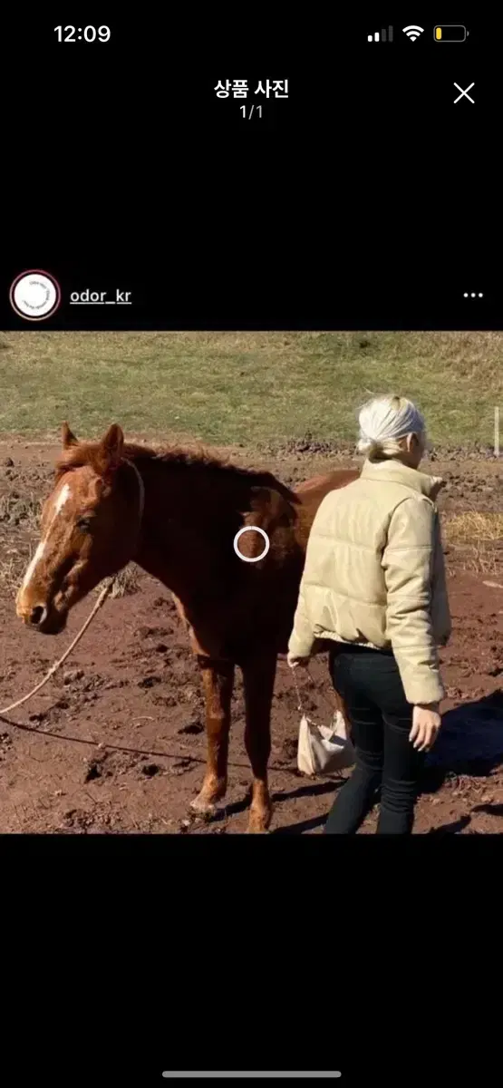 오도어 레더패딩