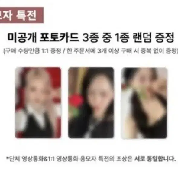 비비지 25년도 시그 신비 분철