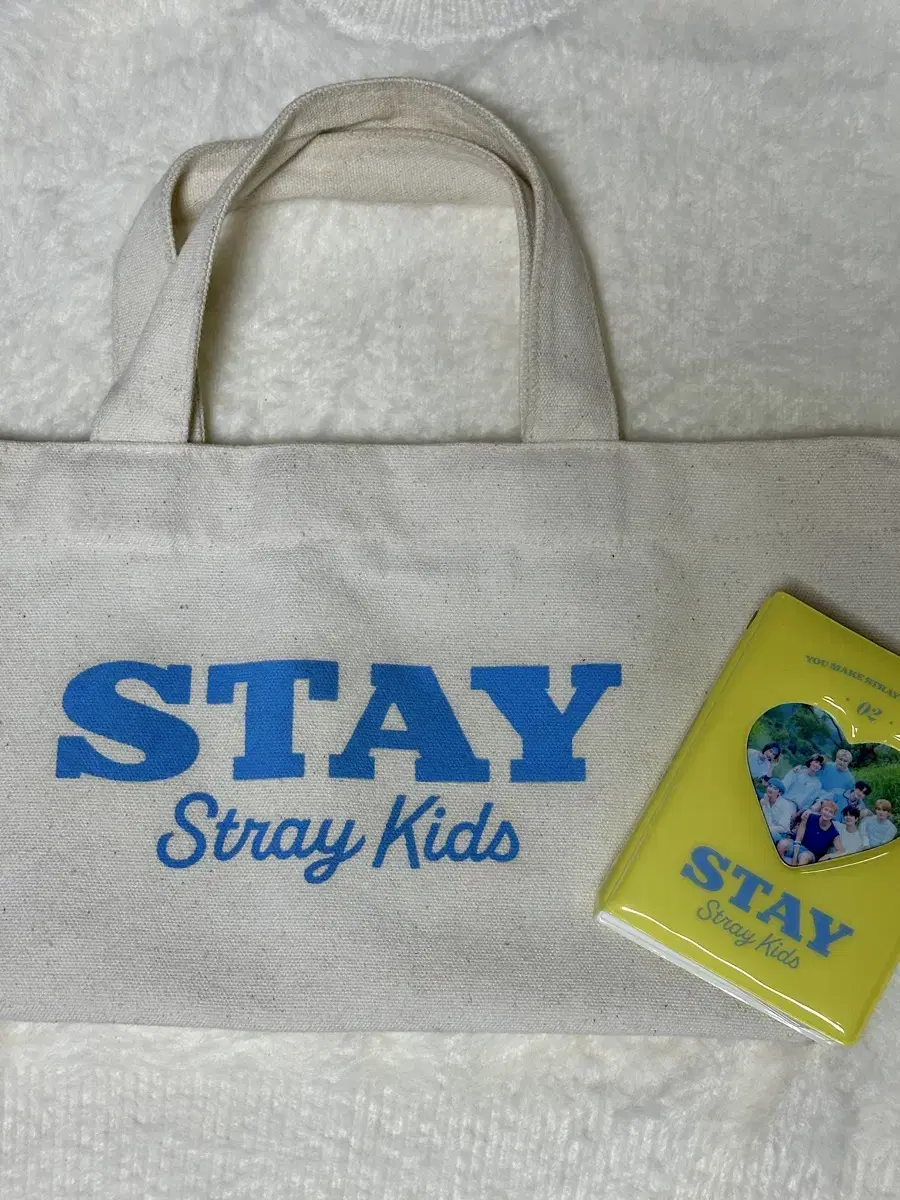 Straykids skz Formula 2 kit EcoBags