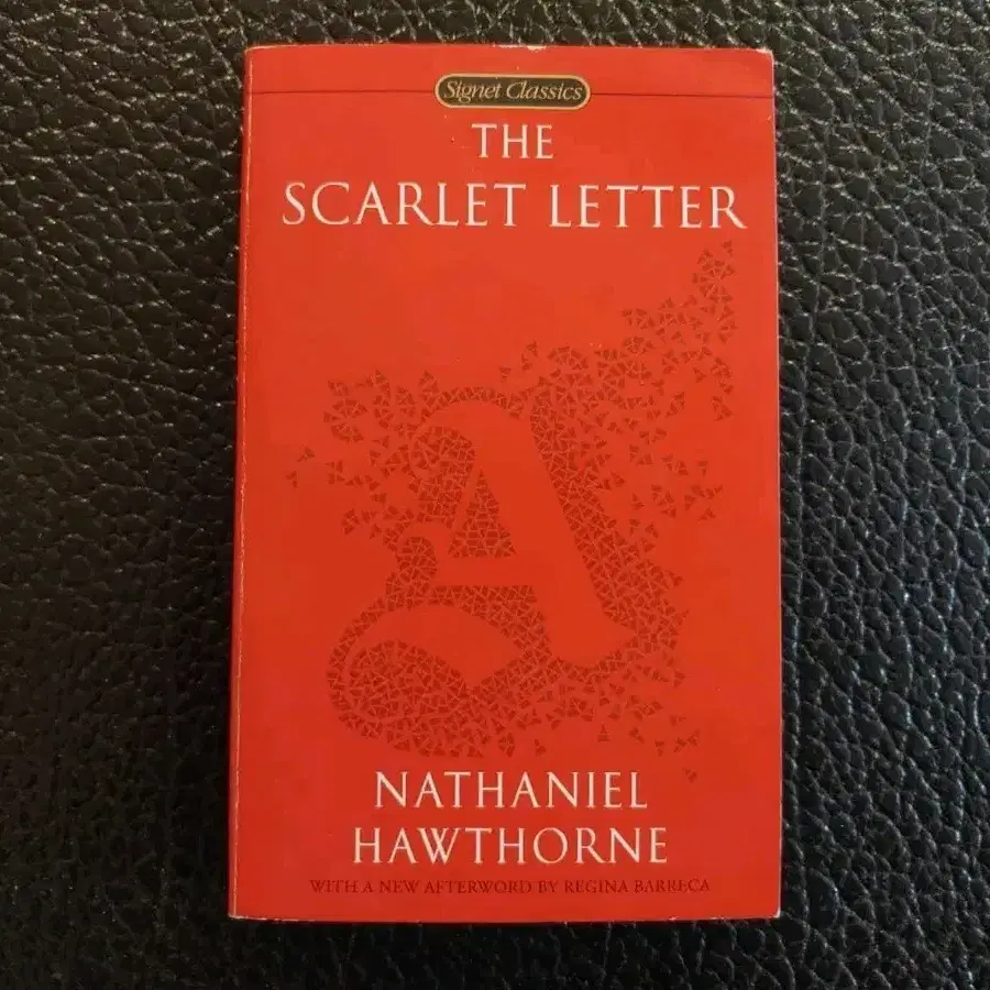 [원서]The Scarlet Letter