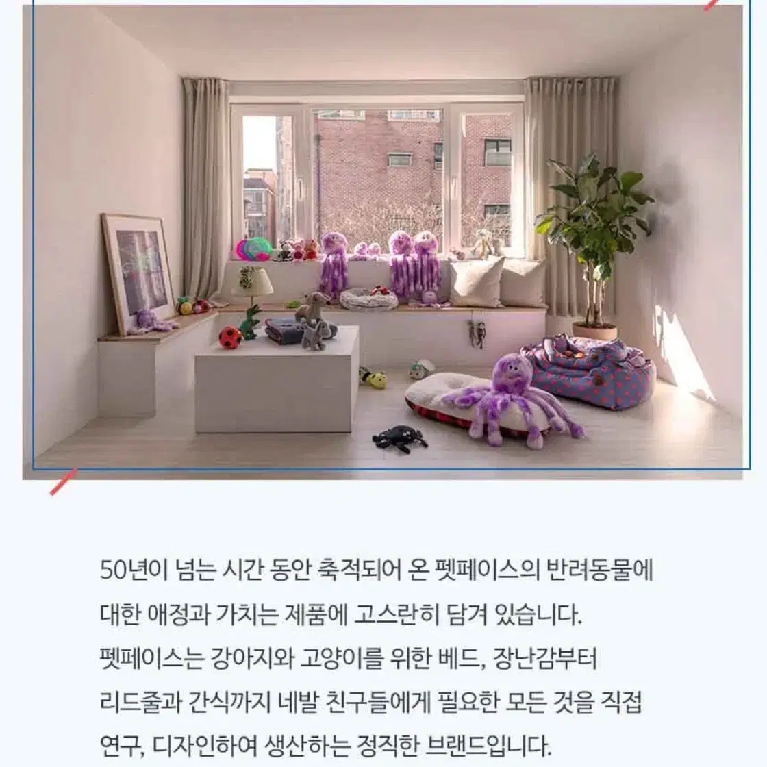 [ petface ] 반려동물 애착인형 문어 터그 장난감