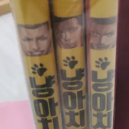 냥아치 만화책