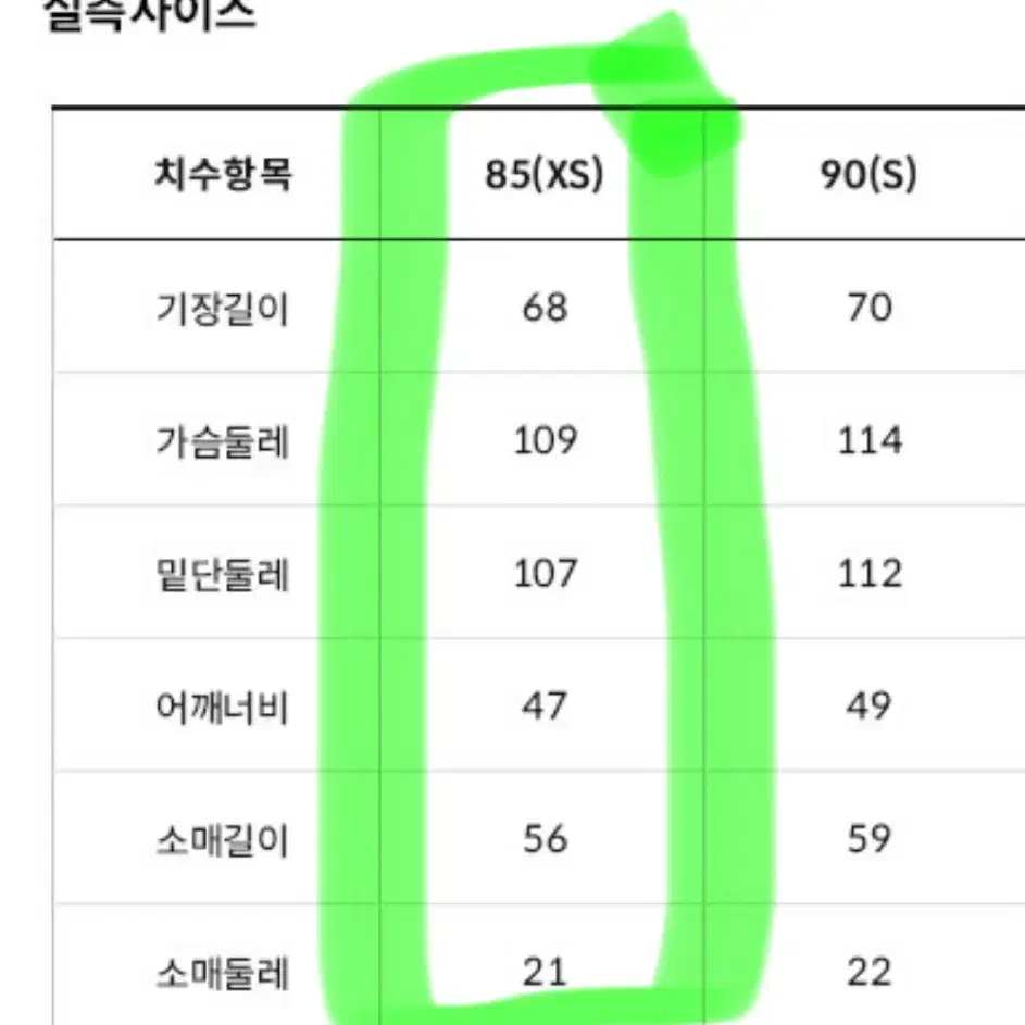 노스페이스 프리무브 다운 85