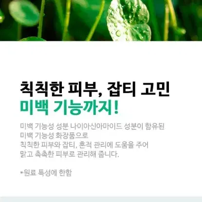 닥터올가 약산성 어성초 모공 진정 토너 패드