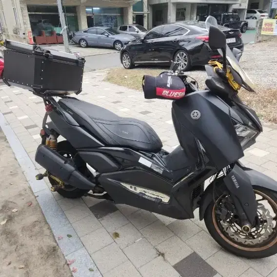 xmax300 페리