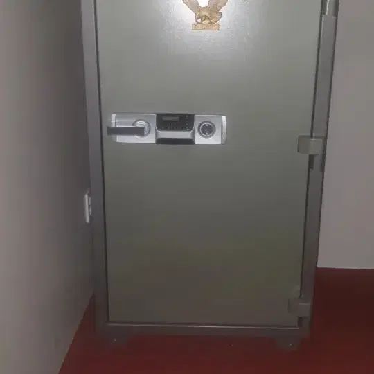 금고 eagle safes ES-200모델