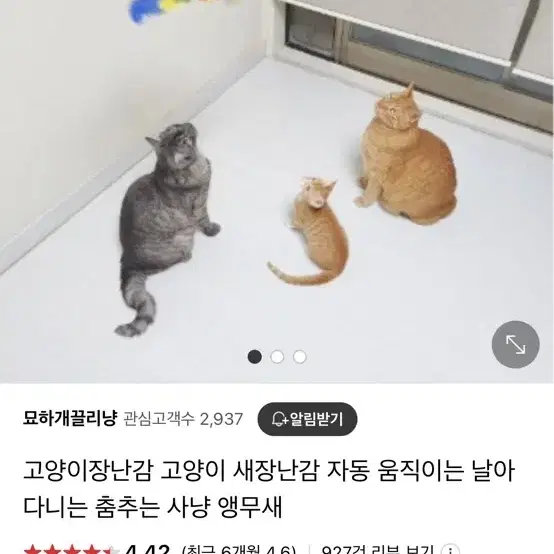 날라다니는 앵무새 고양이 강아지 장난감 판매합니다