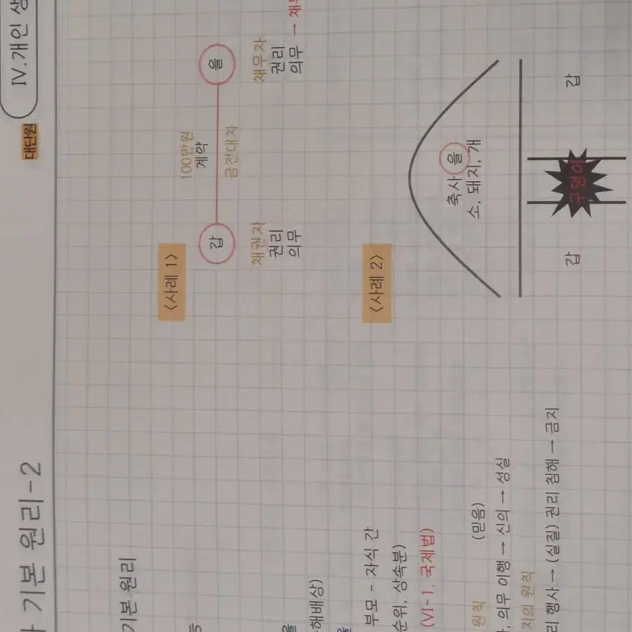 정치와 법 최적 단권화 노트 정법