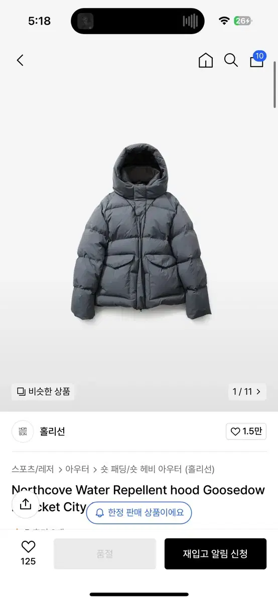 홀리선 노스코브 패딩 s사이즈 23fw