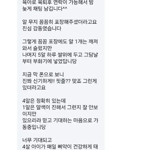 미니 메추리 알 종란 + 중국산 부화기 대여