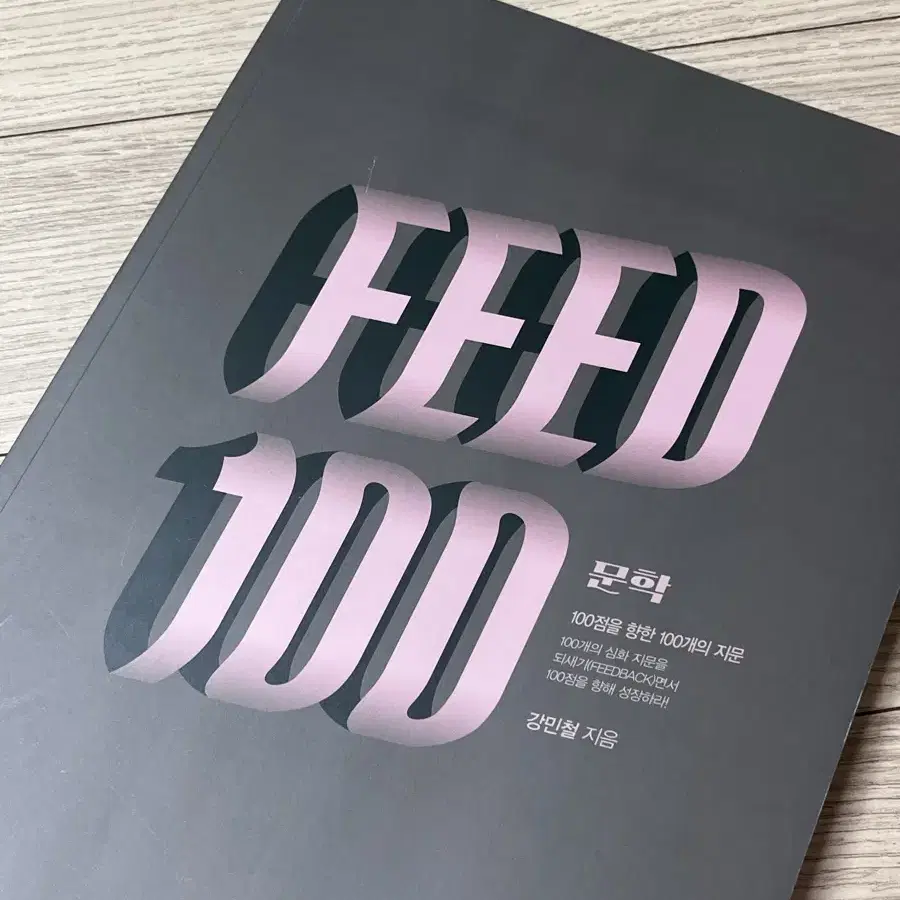 강민철 FEED100 문학