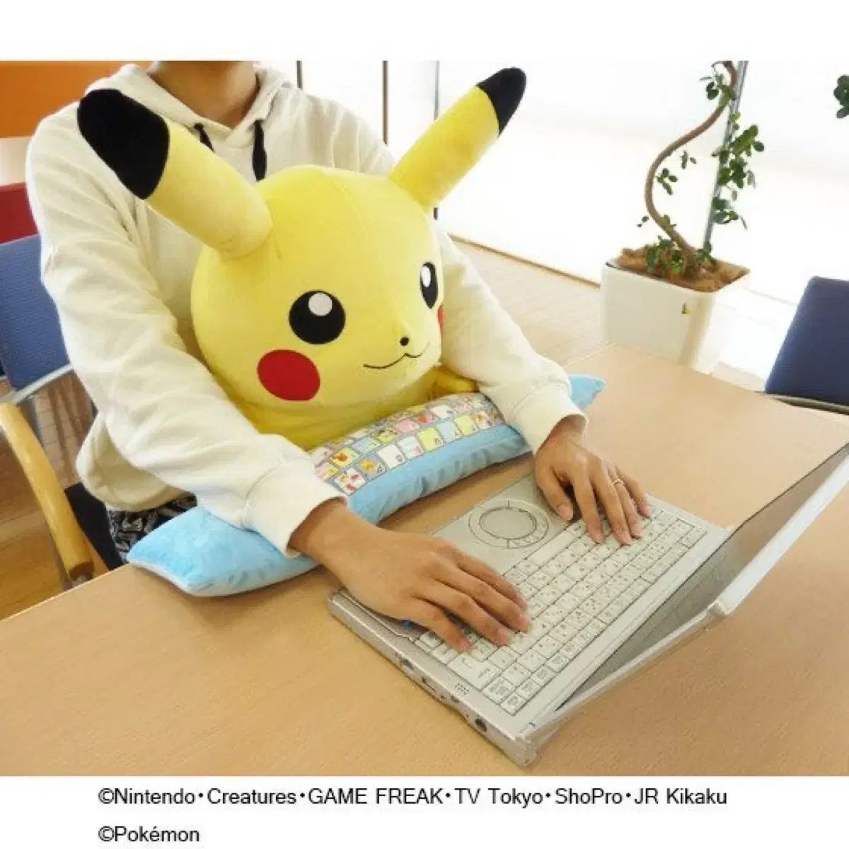 Until January) Pokémon Bandai PC Cushioned Pikachu Doll