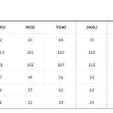 노스페이스 화이트라벨 리모플리스 자켓(뽀글이)