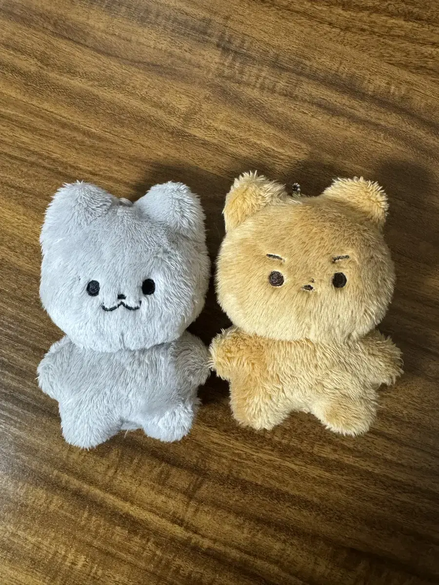 더보이즈 주연 현재 10cm 인형 쥬냥이 달곰이 일괄 양도