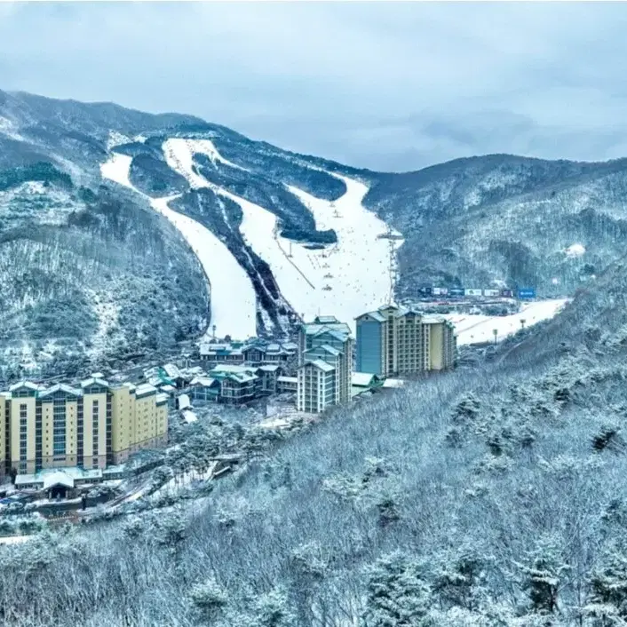 곤지암 리프트권 스키렌탈권