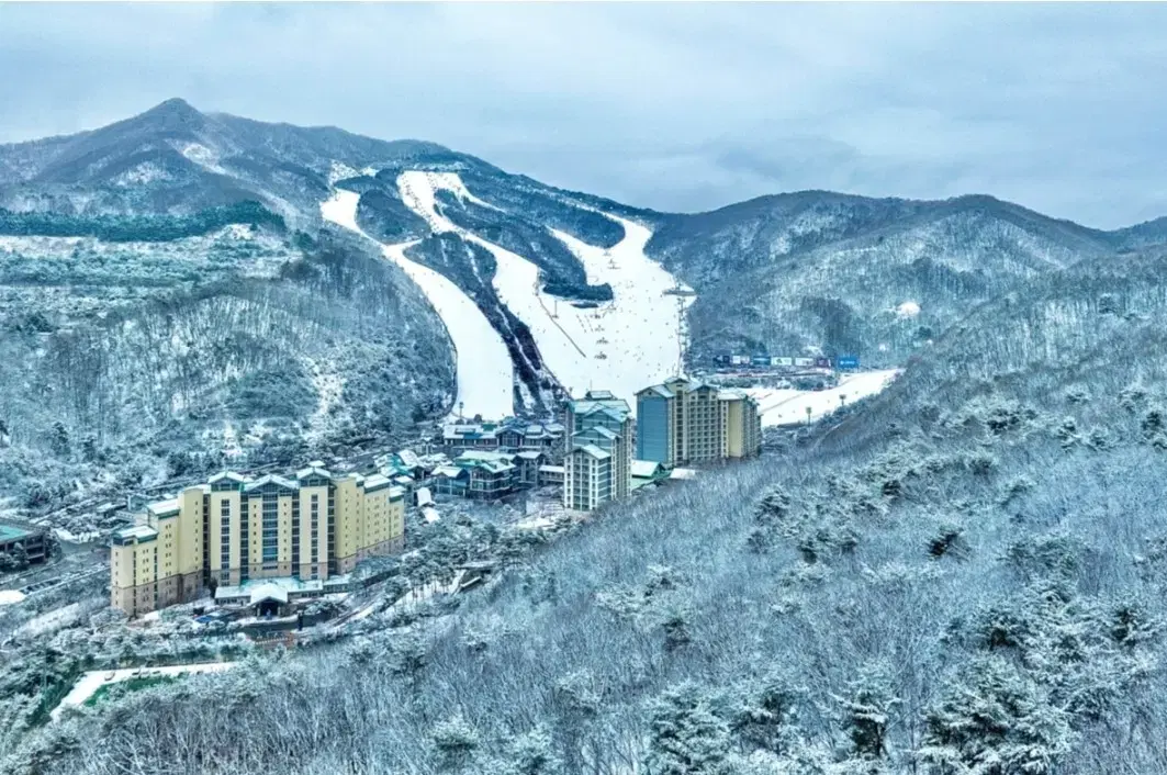 곤지암 리프트권 스키렌탈권