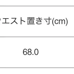 ㅡ추가입고ㅡ이세이미야케 뉘앙스 비포미드나잇 스커트 2사이즈