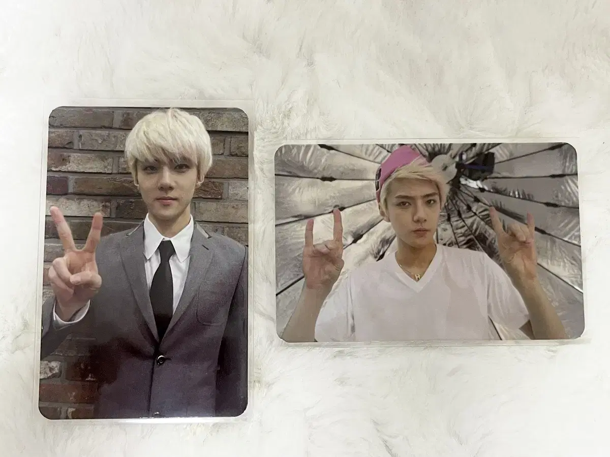 Exo oh sehun growl photocard