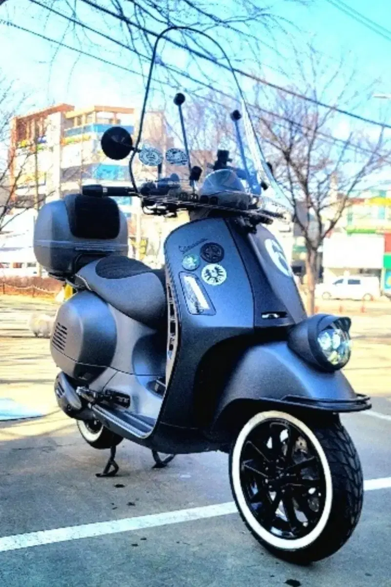 베스파세이조르니300cc