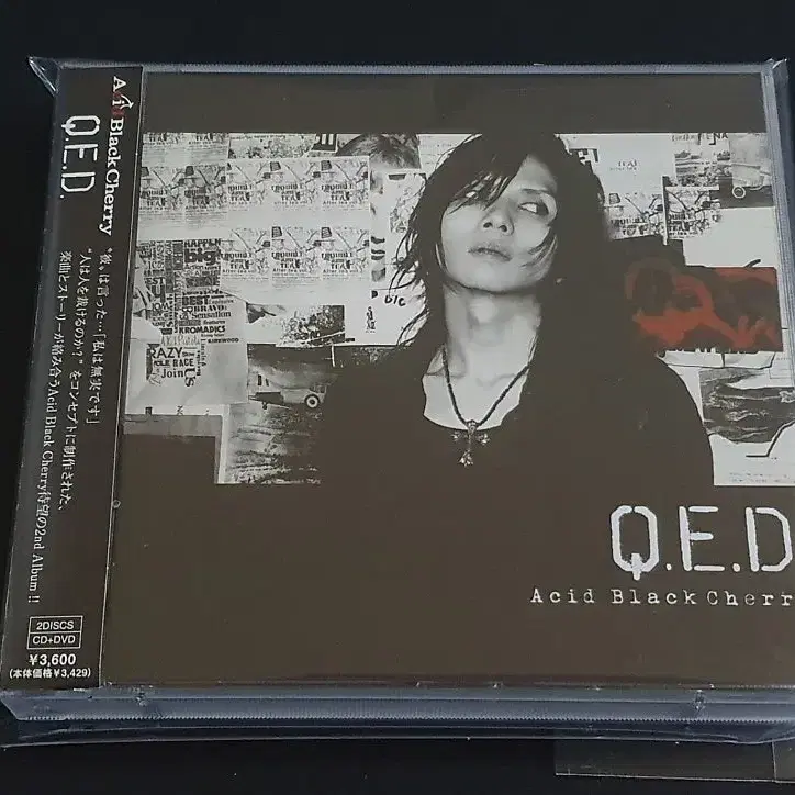 애시드블랙체리 2집 앨범 Q.E.D (CD+DVD) 잔다르크 야스