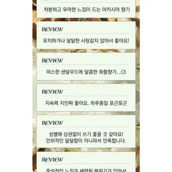 스튜디오오도르 우드아까시 오드퍼퓸