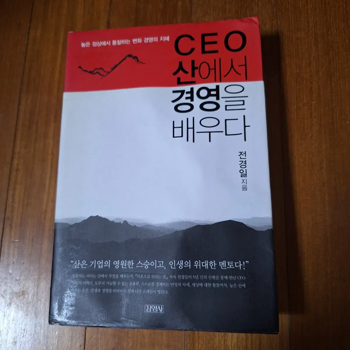 # CEO 산에서 경영을 배우다