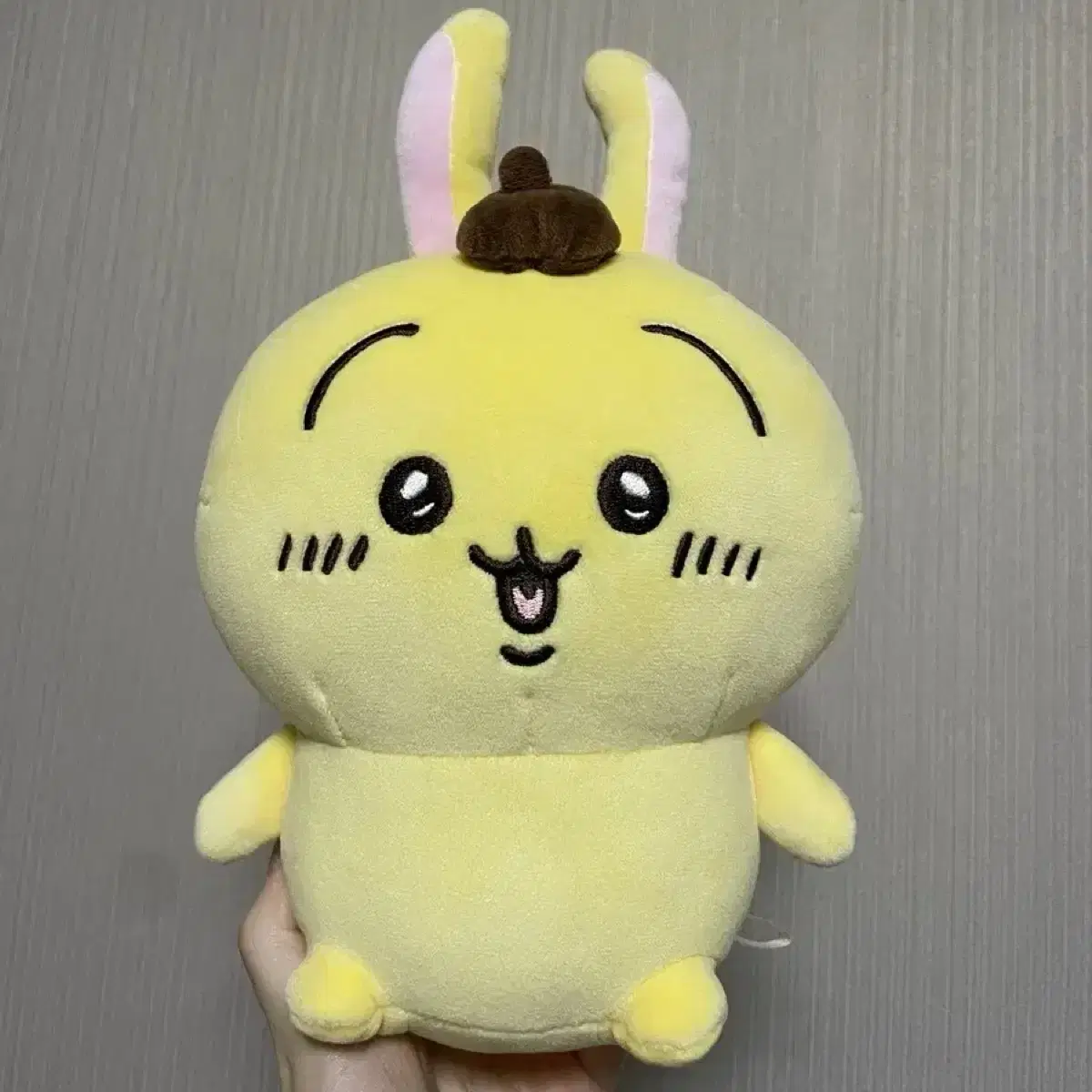 Chiikawa Pompompurin Usagi Nui