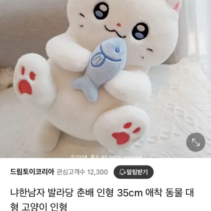 고양이 인형 (냐한남자 발라당 춘배인형)