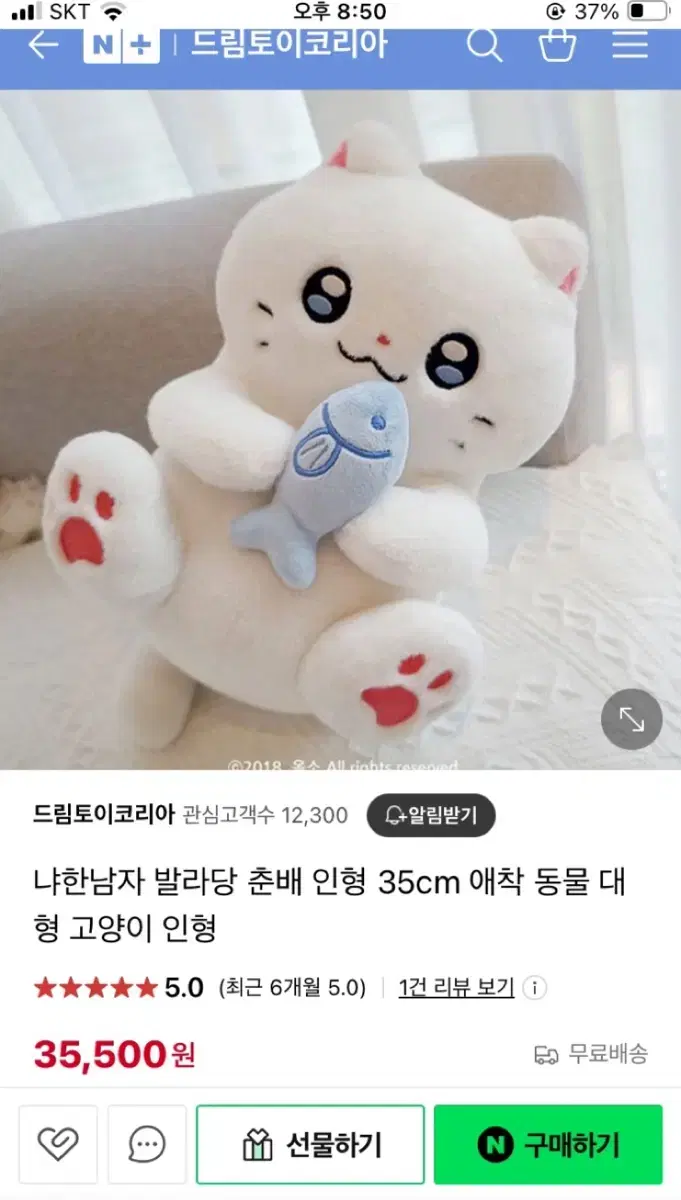 고양이 인형 (냐한남자 발라당 춘배인형)