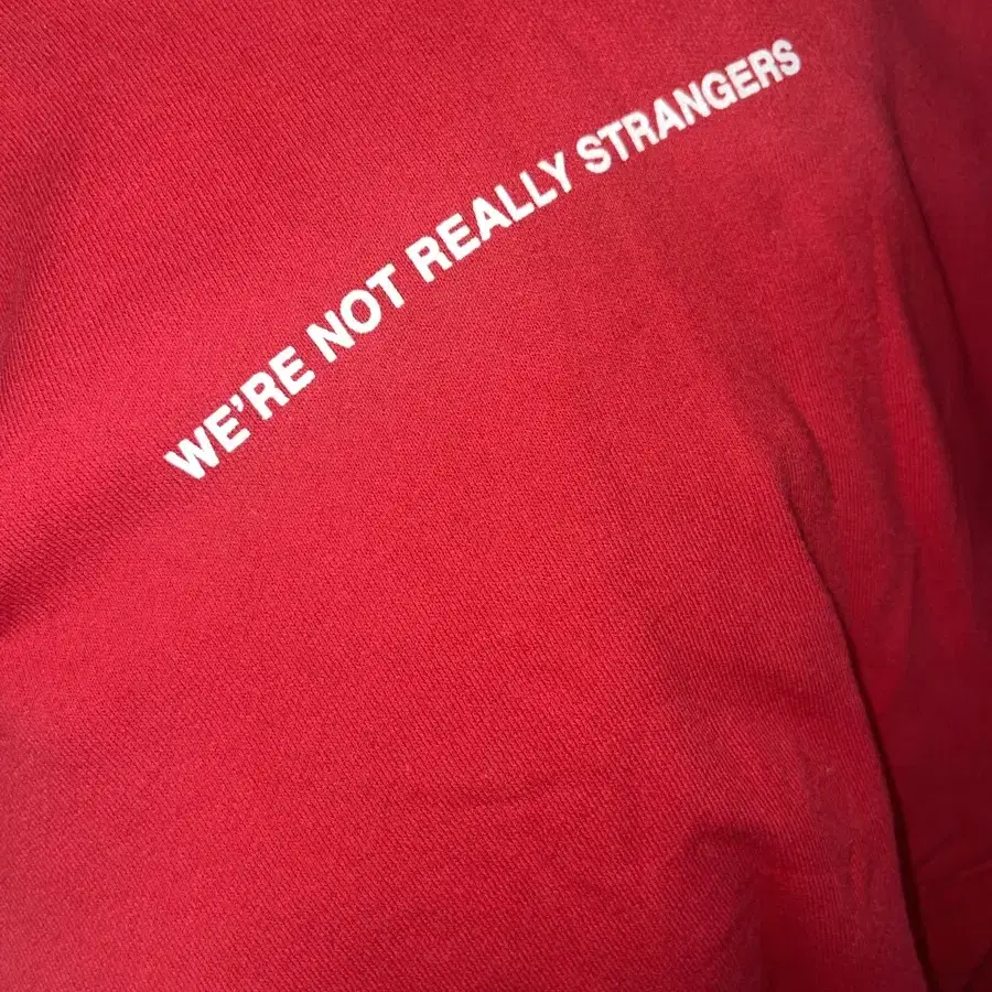 We're Not Really Strangers 후드티 양도