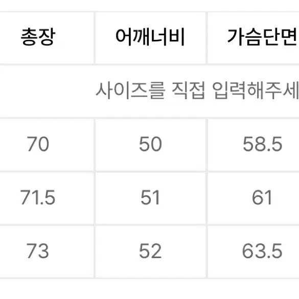 [새상품] 노이어 크링클 오간자 셔츠