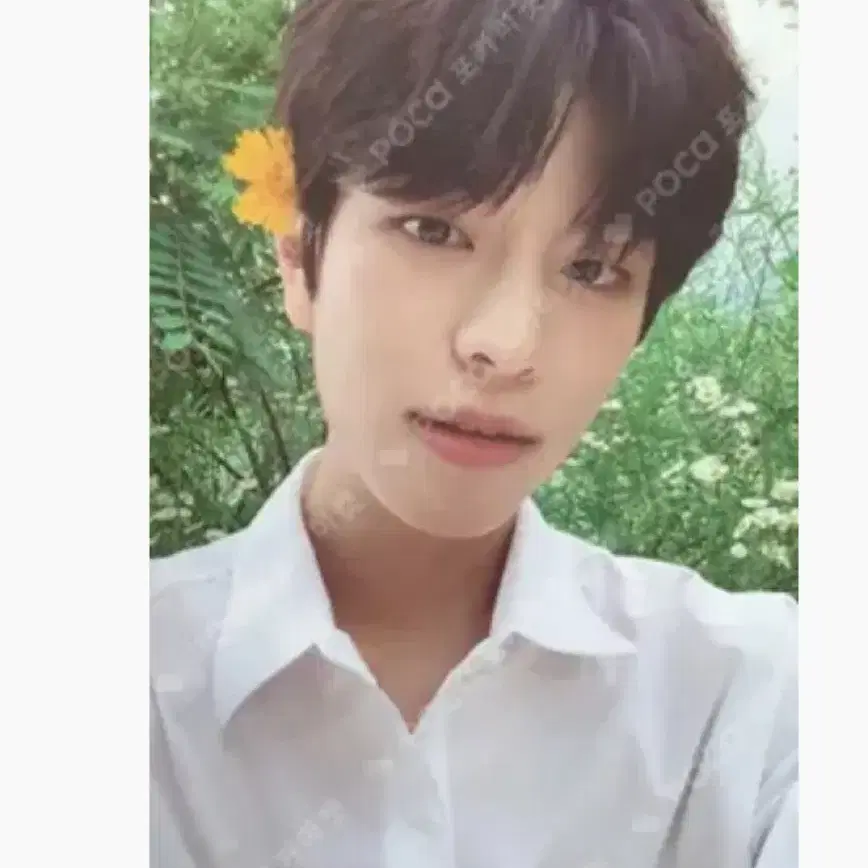 (급처)스트레이키즈 straykids 승민 포토카드 포카 일괄 판매