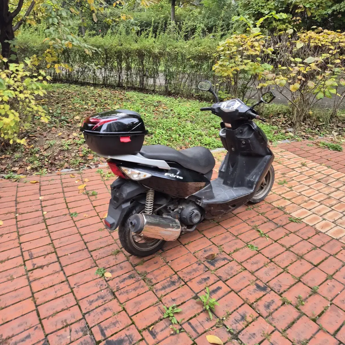 네오포르테 125cc