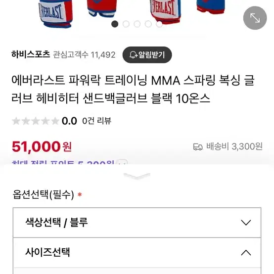 에버라스트 글러브 14온스 파워락