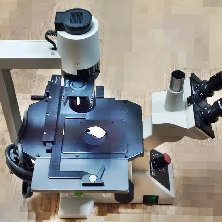 Olympus CK2 Microscope 올림푸스 도립 위상차 현미경