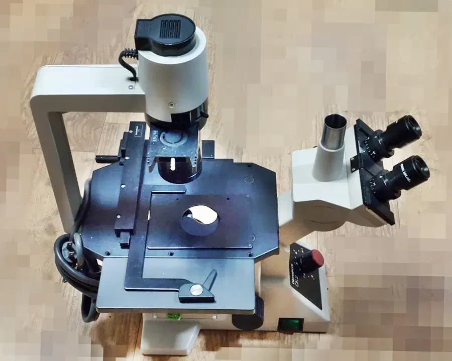 Olympus CK2 Microscope 올림푸스 도립 위상차 현미경