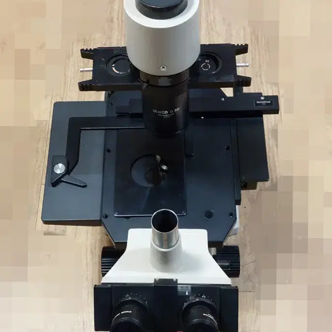 Olympus CK2 Microscope 올림푸스 도립 위상차 현미경