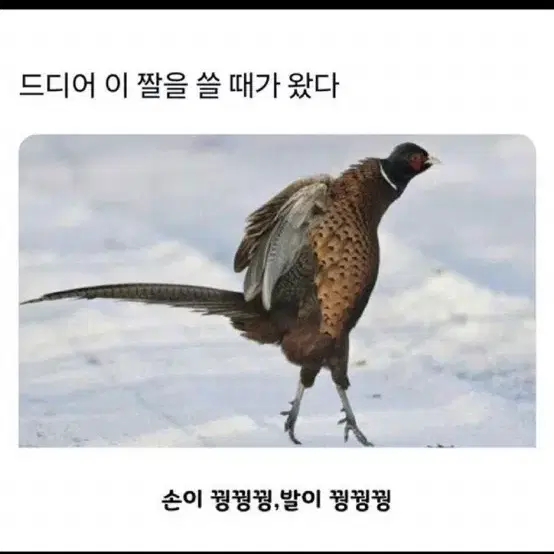 운빨존많겜 1010 ㅅㅅ