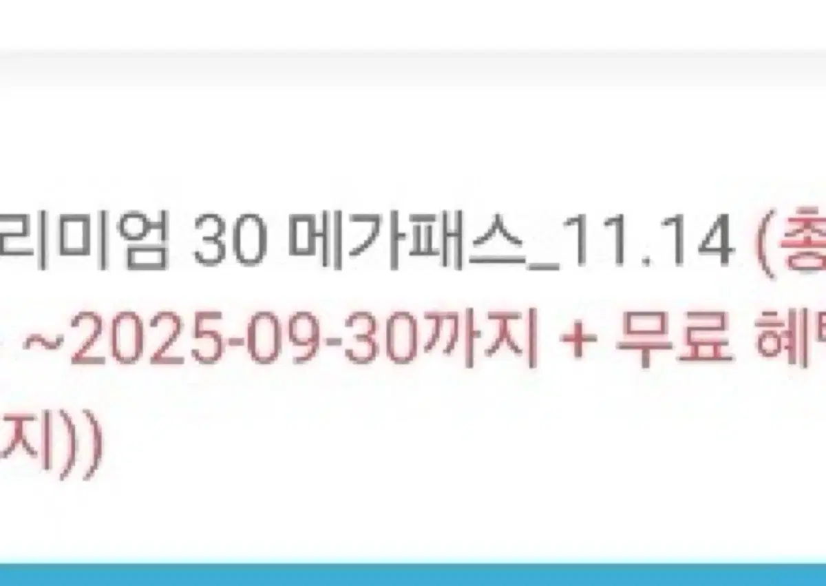 메가패스