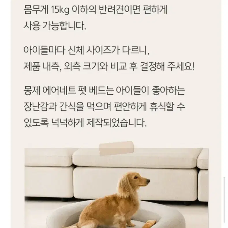 몽제 에어네트 펫베드 강아지 고양이 침대 애견방석