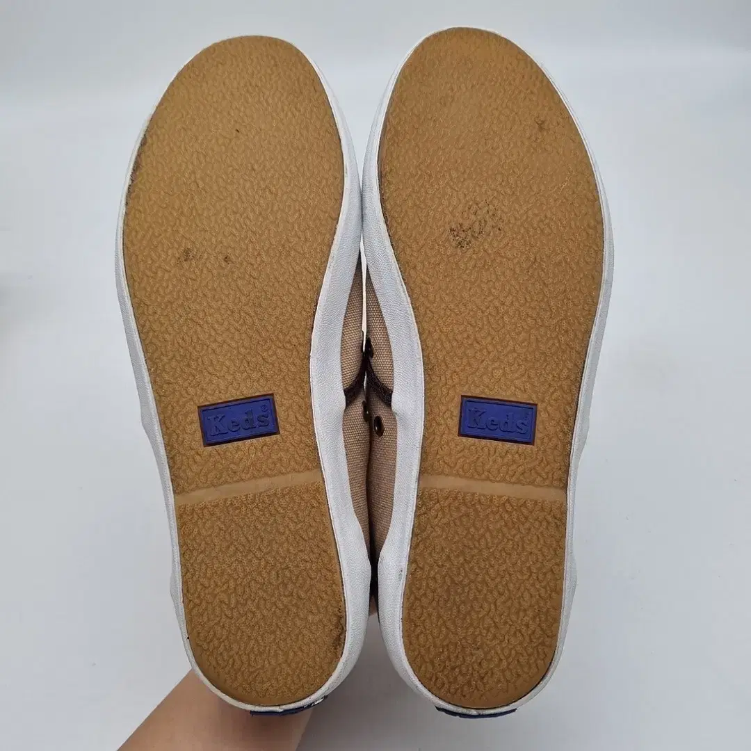 KEDS 케즈 남성스니커즈255