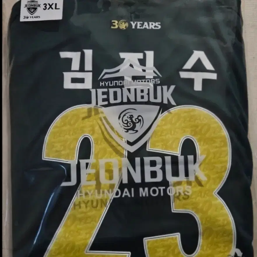 전북현대 30주년 김진수마킹3xl