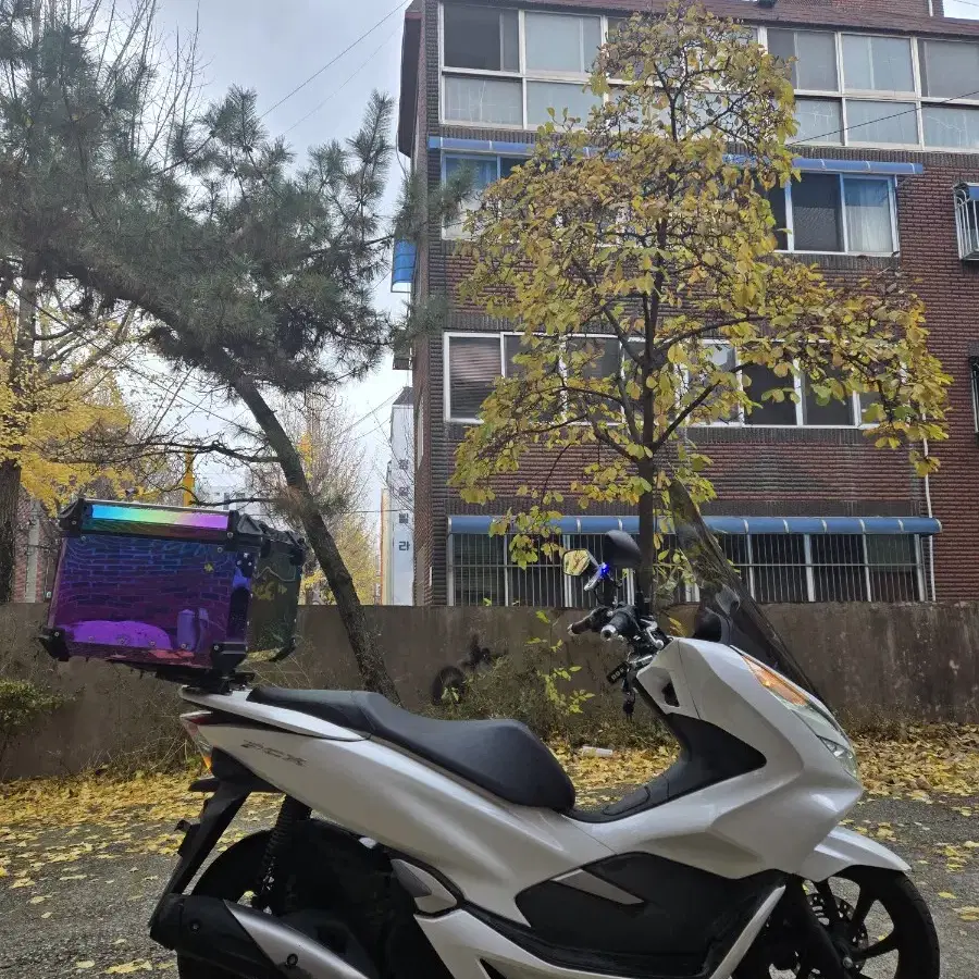 pcx125 20년식 2만Km 알탑,열선 셋팅 팝니다