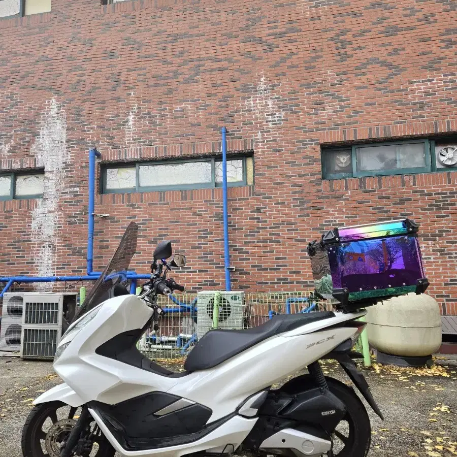 pcx125 20년식 2만Km 알탑,열선 셋팅 팝니다